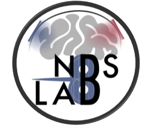 Noninvasive Brain Stimulation Lab